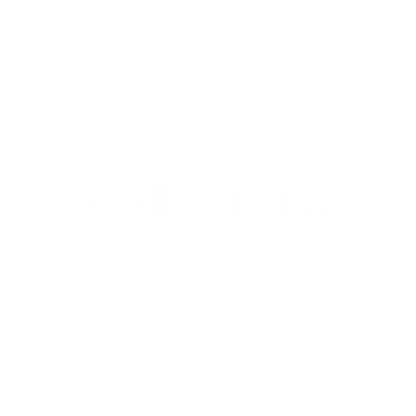 LevelUp Prints